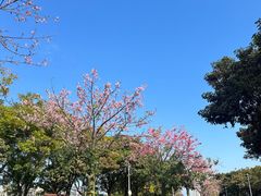 -风云岭森林公园