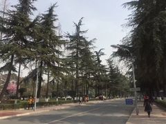 校门-四川大学(华西校区)