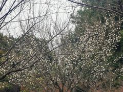 -金山公园