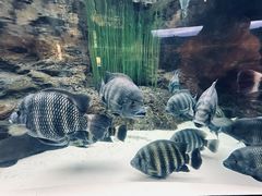 -上海大自然野生昆虫馆(东方明珠·爬宠昆虫探索中心)
