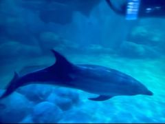 -福州罗源湾海洋世界旅游区