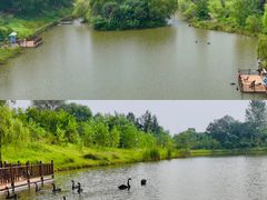 -江苏三台山国家森林公园