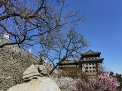 -北京明城墙遗址公园