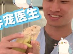-立德异宠动物医院.兔鸟爬.内窥镜(天河店)