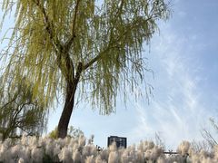 -咸阳湖景区