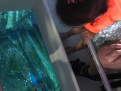 -暹罗海洋世界