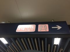 -大望路(地铁站)