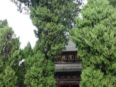 -报恩寺(平武县)