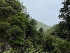 -洛阳白云山景区