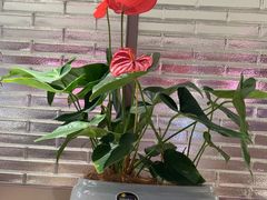 -海底捞火锅(高科广场店)