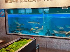 -淘米捞·米汤脆鲩鱼火锅(福田皇岗店)