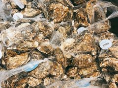 生蚝-盒马鲜生(顺义店)