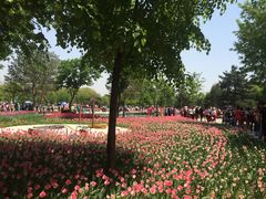 -长春公园(普阳街道)