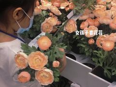 -宜家·瑞典风味餐厅(烟台路店)