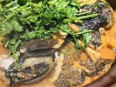 -九道菜有鸡鱼头(石鼓路店)