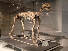 -北京周口店北京人遗址博物馆