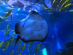 -华夏文旅海洋公园