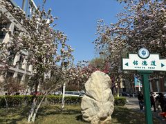 -天津大学·四十二斋餐厅