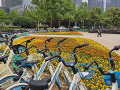 -天鹅湖体育公园