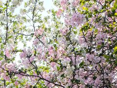 -浙江大学(玉泉校区)