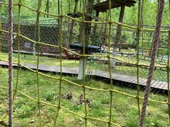 -合肥滨湖国家森林公园