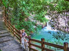 -广州白江湖森林公园