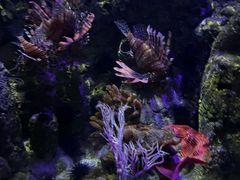 -太平洋海底世界