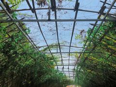 -江门古劳水乡旅游区