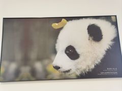 -金熊猫川菜餐厅
