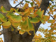 -二中酸辣汤(无锡梁溪区店)