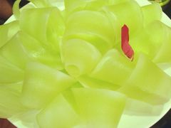 iphone_upload_pic-蜀九香火锅(九眼桥店)