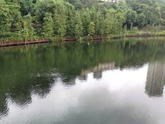-重庆彩云湖湿地公园