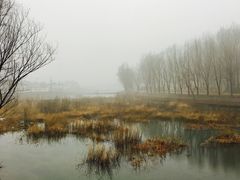 -白河湾生态旅游一条川