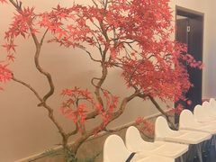 -董家大院·京味家常菜(朝丰家园店)