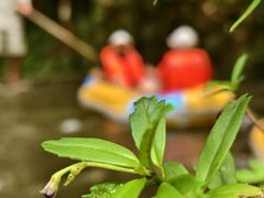 -夏霖九天银瀑风景区