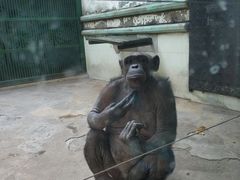 -石家庄市动物园