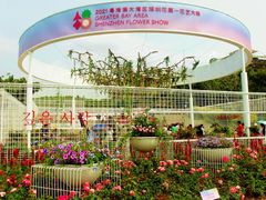 -深圳国际园林花卉博览园