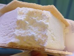 -沃洛格达(万象城n次方店)