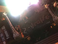 -清迈夜间动物园