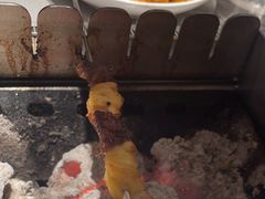 -丰茂烤串(公园店)