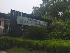 -上海崇明金茂凯悦酒店
