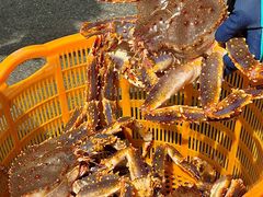 -蟹后Crabber(水悦城店)