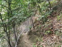 -南山植物园