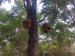 -草根堂农场