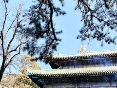 -潭柘寺景区