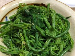 巧拌丝瓜尖-嘉陵楼馋嘴城(簋街总店)