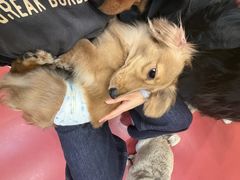 -和它·交个朋友·狗咖猫咖(爱琴海店)