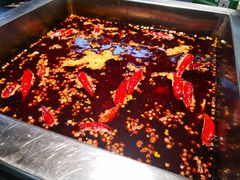 牛油红锅-二荆条·蜀鲜汇城市森林火锅