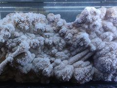 -湖南省地质博物馆