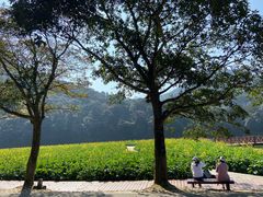 -广州市石门国家森林公园